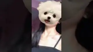 ho oh tenan _ remes guys 