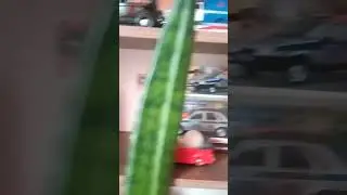 Коллекция моделей моего друга 