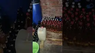 Пинонуар и Шардоне готовятся к отправке