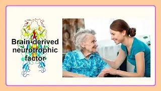 brain derived neurotrophic factor