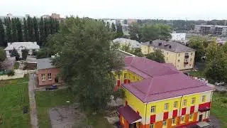 Спил деревьев с автовышки в Курске