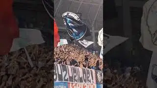 Suporteri frumoși, suporteri adevărați