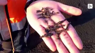 493566948 mp4 h264 aac hd