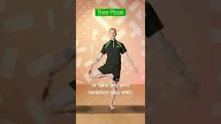 3 Ways to do the Yoga Tree Pose