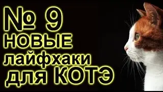 лайфхаки для кота 9
