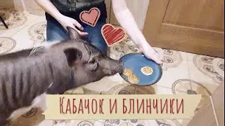 Блинчики для Кабачка
