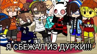 АСК!!! Неужели! По шипам Грайм, Ромберг, Пурфи!
