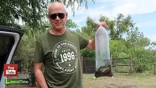 Это Наживка, это не на Сковородку / На рыбалку в провинцию