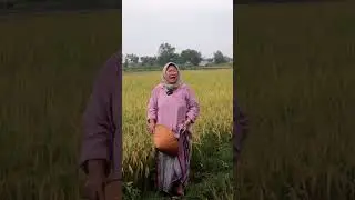 PETANI EDAN 