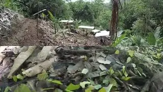 Ants Earthships