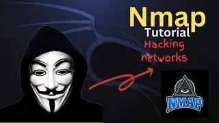 Nmap Tutorial: Scan a Metasploitable Machine on Kali Linux