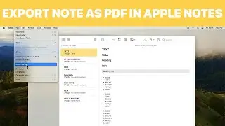 How to Export Note as PDF in Apple Notes on Mac (Tutorial)