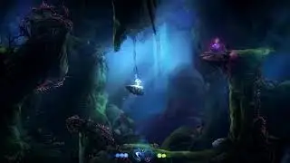 Ori Cap 2