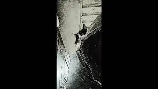 Skeeny - FINE WINE