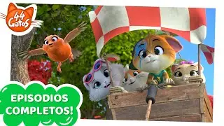 44 Gatos | Latinoamérica | El gran rescate de Robin [EPISODIO COMPLETO]
