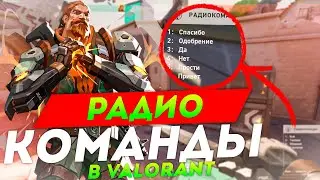 ЗАМЕНА ГОЛОСОВОГО ЧАТА В VALORANT // Радиокоманды В Валорант //  Valorant Фишки