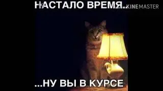 Мемы инстаграм