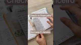Check-in financeiro semana 5 de Janeiro 2024 #pwm #budget #planner