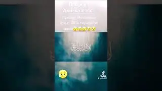 Как скучал по Матери Пророк с.а.с 