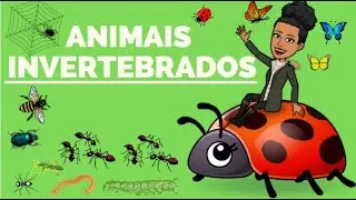 Animais Invertebrados