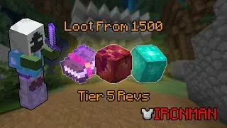 This Drop Took 1500 Bosses (Hypixel Skyblock IRONMAN)
