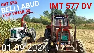 IMT 555 Beli Labud i SIP VIHAR 80 ( SYSTEM ZWEEGERS ) Siliranje Kukuruza 01.09.2024. IMT 577 DV