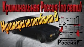 Криминальная Россия (по сети):Мухоморы не погибают:D