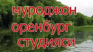 Зокир очилдиев куш Хотин zokir ochildiev qush hotin