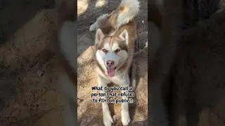Roki loves his dad jokes 😆