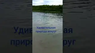 🌊Карьер в д.Александровка Шиловского района. ❗❗❗Факты❗❗❗ Удивительное место 🤩