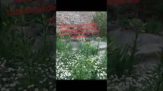 para kapıların acilsin