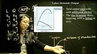 Outlines of Economics: Labor market