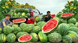 From Harvest to Treat: Watermelon Milkshake Ice Cream & Fresh Juice in Village