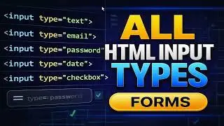 All HTML Input Types Explained (Beginner Friendly!)