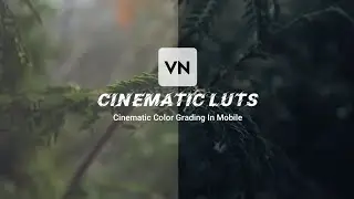 CINEMATIC LUT/PRESET VN EDITOR || VN EDITOR