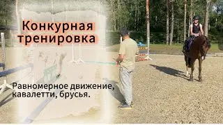 Конкурная тренировка. Даша и Серпантин