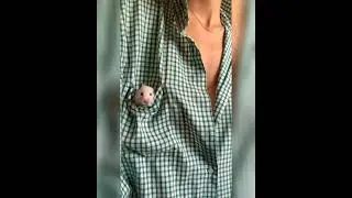 A Mouse In The Pocket Of A Shirt 