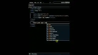 Input any number in Html Form Element