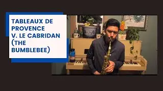 Tableaux de Provence -  Le Cabridan (The Bumblebee)
