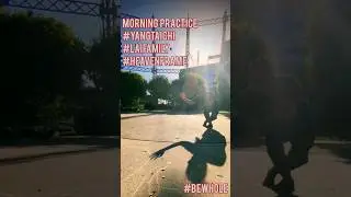 TaiChi Form Heaven Frame of Lai Family Kung Fu Morning Practice 😎💪 #bewhole #shenyiqi #yang #fingers