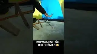 КОРМАК ПОТРЁС - ЯЗЯ ПОЙМАЛ 😂 #рыбалка #поклевка #тайга #зима #подсечка #лунка #язь #здоровенныйязь