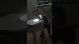 Черная кошка поздно ночью.... 