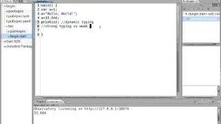 04 Learn to Program in Dart:  Dynamic Typing