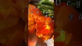 С 8 Марта, Красавицы!
