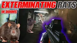 Dorms Rat Cleanup | Escape from Tarkov