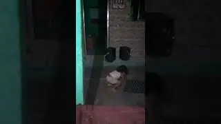 Allyce E Vo vo Tirando Onda Na Dança.