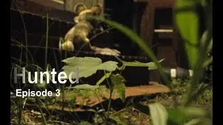 Hunted | episode 3