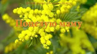 I will kiss my mum. Song about mother