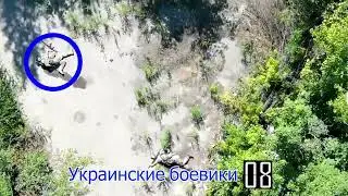 15 августа 2024 г.
