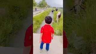 گاؤں کی سیر 😂😚#subscribe #shorts
